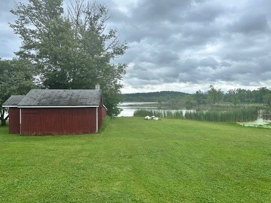 Backyard, Exterior, Water