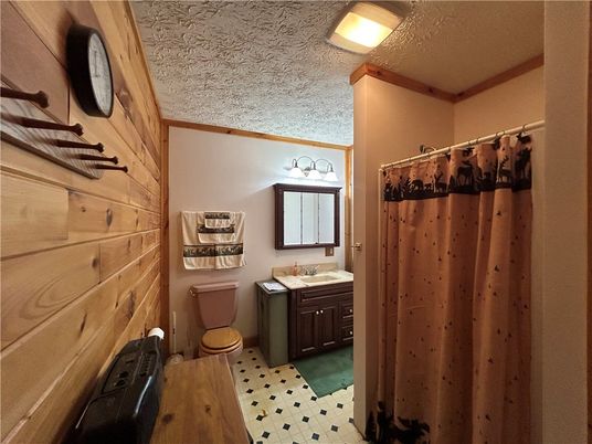 Bathroom, Interior, Wooden Walls