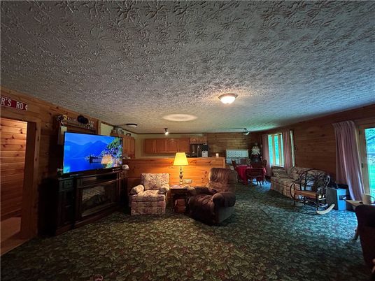 Interior, Living room, Wooden Walls