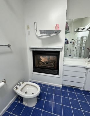Bathroom, Fireplace, Interior