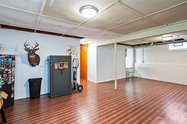 Fitness Equipment, Interior, Wood Texture Flooring
