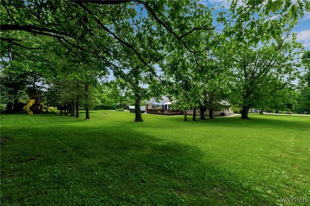 Backyard, Exterior, Playground