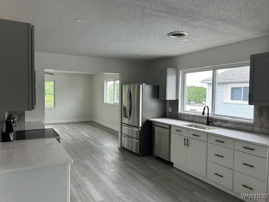 Interior, Kitchen, Recessed Lighting, Stainless Steel Appliances, Wood Texture Flooring