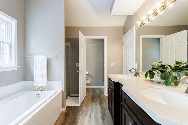 Bathroom, Dual Sink Vanities, Interior, Wood Texture Flooring