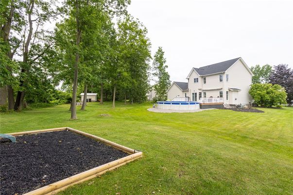 Backyard, Exterior, Pool