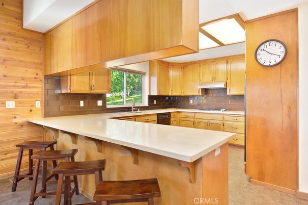 Interior, Kitchen, Wooden Walls