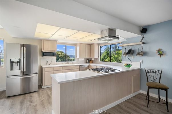 Interior, Kitchen, Stainless Steel Appliances, Wood Texture Flooring