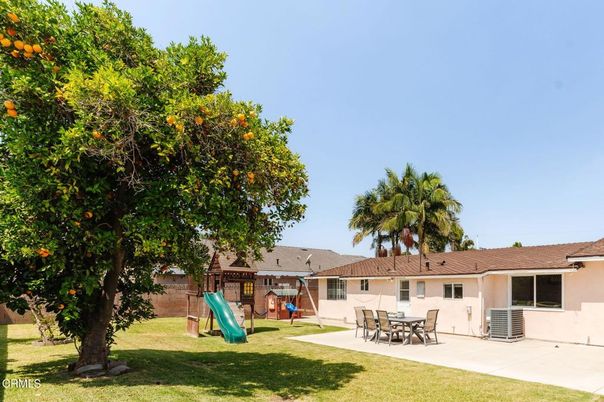 Backyard, Exterior, Playground