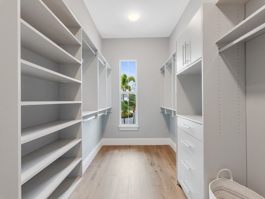 Interior, Recessed Lighting, Walk-in Closets, Wood Texture Flooring