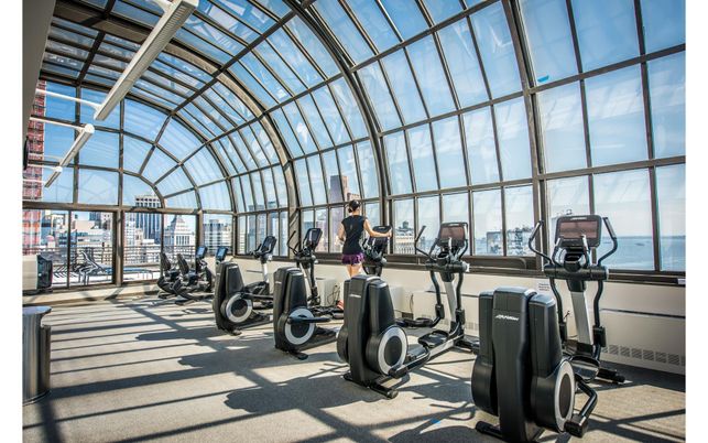 Fitness Equipment, Glass Ceilings, Gym, Interior, Sun Room