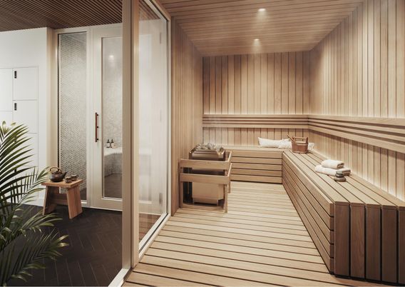 Interior, Recessed Lighting, Sauna Room