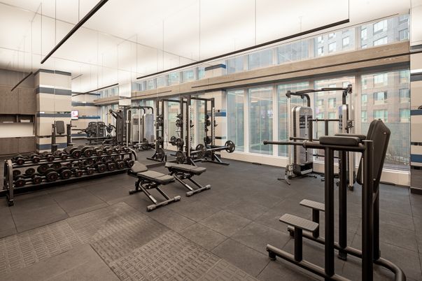 Fitness Equipment, Gym, Interior