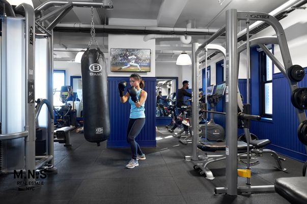 Fitness Equipment, Gym, Interior