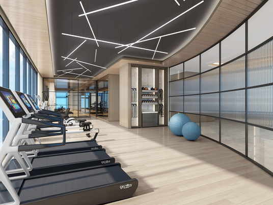 Fitness Equipment, Gym, Interior, Wood Texture Flooring