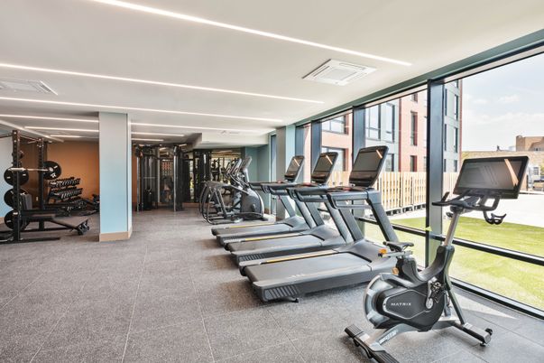 Fitness Equipment, Gym, Interior