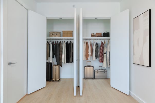 Interior, Walk-in Closets, Wood Texture Flooring