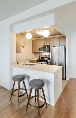 Interior, Kitchen, Stainless Steel Appliances, Wood Texture Flooring