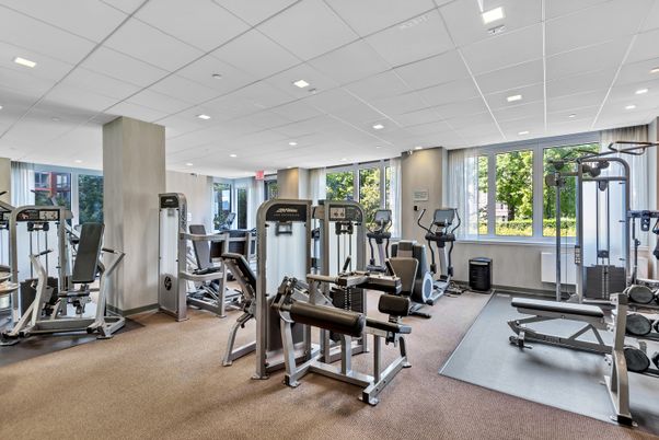 Fitness Equipment, Gym, Interior, Recessed Lighting