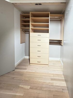 Interior, Walk-in Closets, Wood Texture Flooring