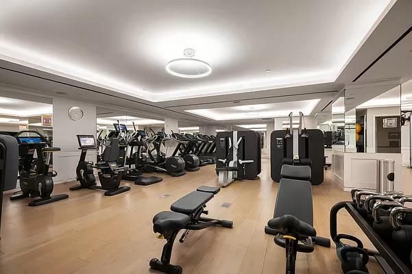 Fitness Equipment, Gym, Interior, Wood Texture Flooring