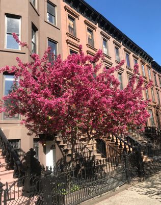 Exterior, Facade, Brownstone