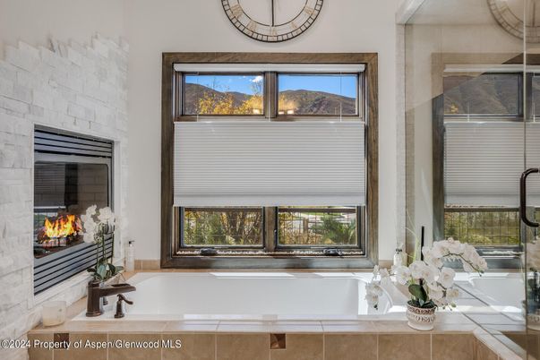 Bathroom, Fireplace, Interior