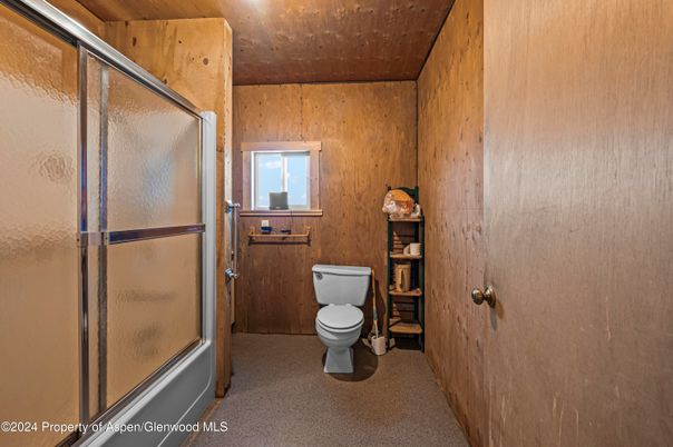 Bathroom, Interior, Wooden Walls
