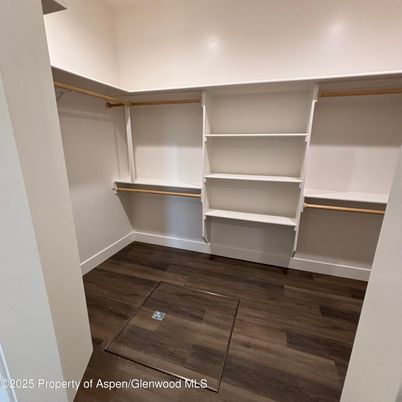Interior, Walk-in Closets, Wood Texture Flooring