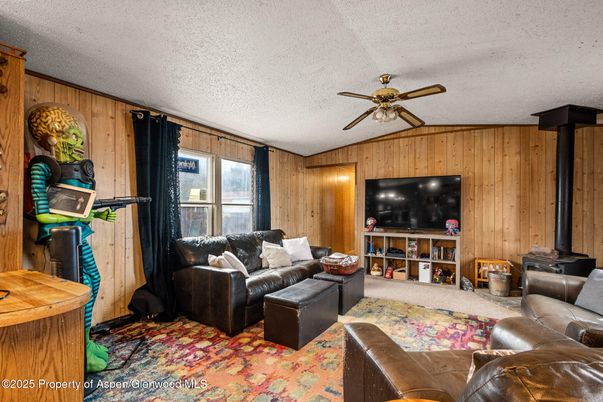 Interior, Living room, Wooden Walls