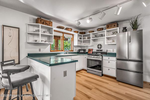 Interior, Kitchen, Stainless Steel Appliances, Wood Texture Flooring