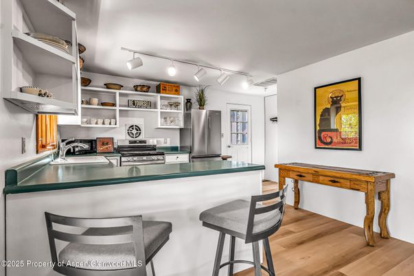 Interior, Kitchen, Stainless Steel Appliances, Wood Texture Flooring