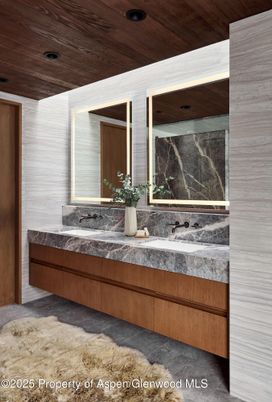 Bathroom, Interior, Recessed Lighting, Wooden Ceilings