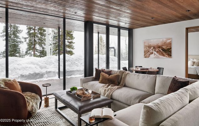 Interior, Living room, Recessed Lighting, Wooden Ceilings
