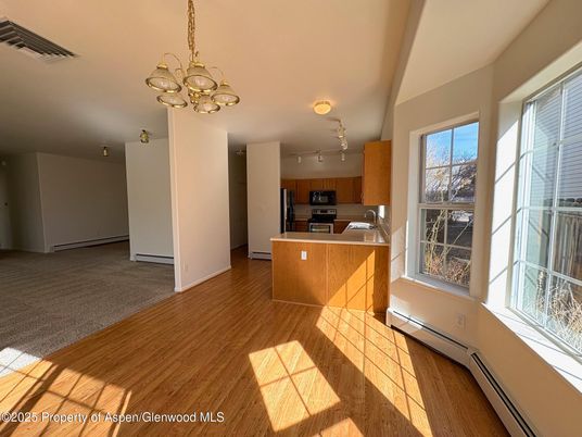 Chandelier, Interior, Kitchen, Stainless Steel Appliances, Wood Texture Flooring