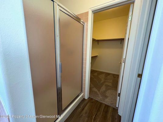 Bathroom, Glass Shower, Interior, Wood Texture Flooring