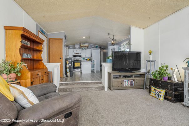Interior, Kitchen, Living room, Stainless Steel Appliances, Wood Texture Flooring