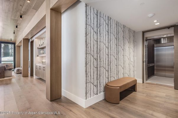 Elevator, Interior, Recessed Lighting, Wood Texture Flooring