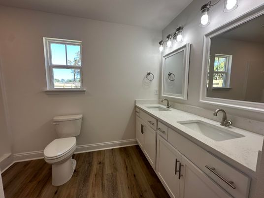 Bathroom, Dual Sink Vanities, Interior, Wood Texture Flooring