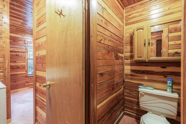 Bathroom, Interior, Wooden Walls