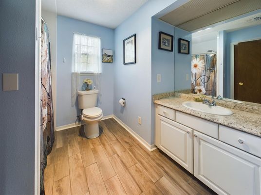 Bathroom, Interior, Wood Texture Flooring