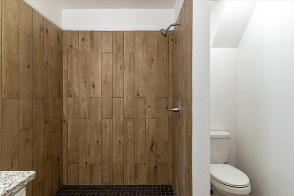 Bathroom, Interior, Wooden Walls