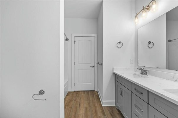 Bathroom, Dual Sink Vanities, Interior, Wood Texture Flooring