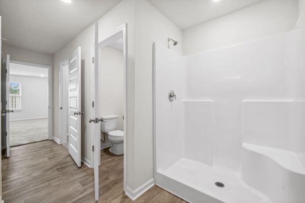 Bathroom, Interior, Recessed Lighting, Wood Texture Flooring