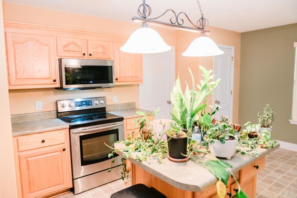 Interior, Kitchen, Pendant Lights, Stainless Steel Appliances
