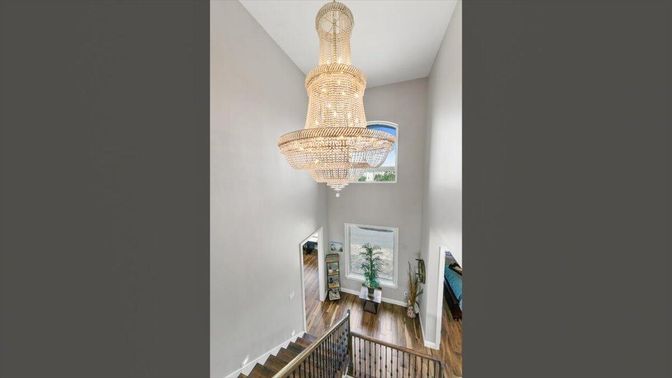 Chandelier, Interior, Wood Texture Flooring