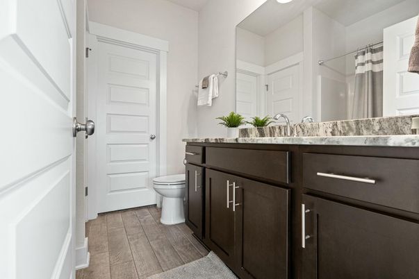 Bathroom, Interior, Wood Texture Flooring
