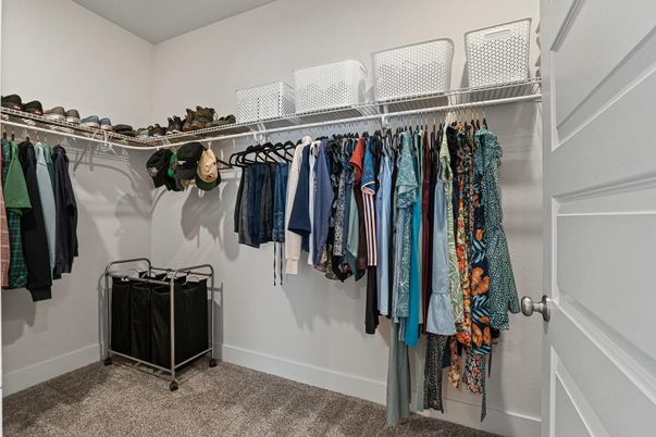 Interior, Walk-in Closets