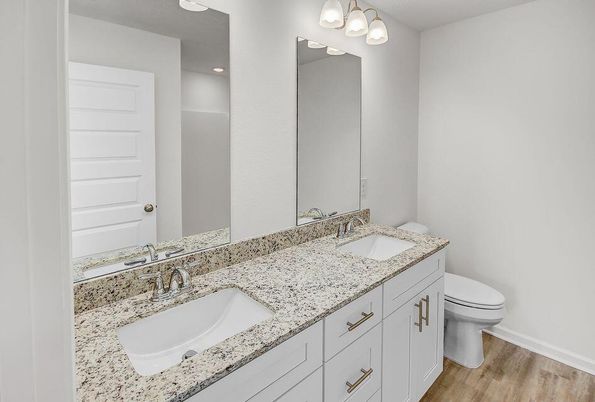 Bathroom, Dual Sink Vanities, Interior, Wood Texture Flooring