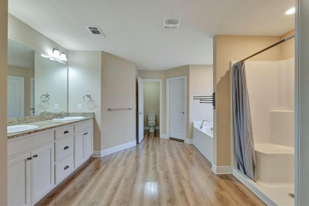 Bathroom, Dual Sink Vanities, Interior, Wood Texture Flooring