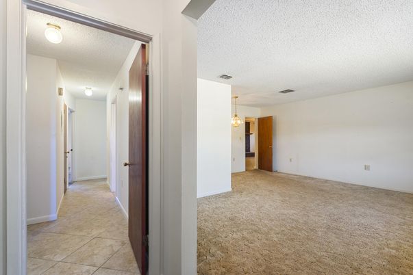 Empty room, Interior, Pendant Lights